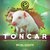 Toncar (Original Mix)