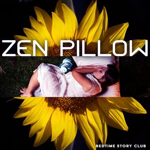 Zen Pillow_poster_image