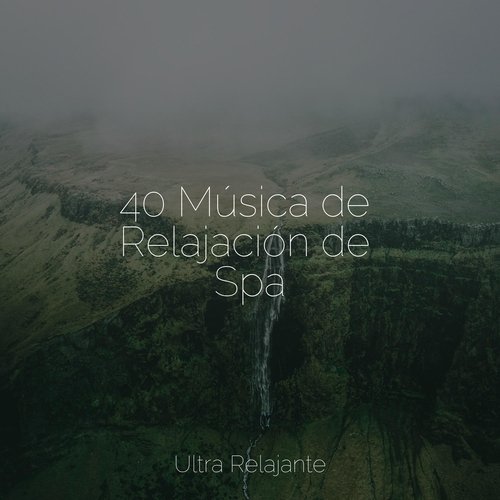 40 Música de Relajación de Spa