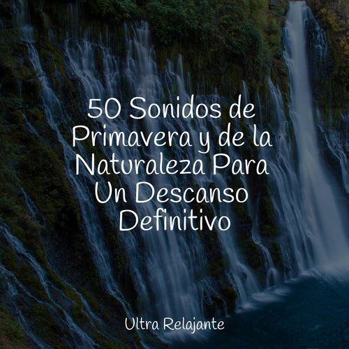 50 Sonidos de Primavera y de la Naturaleza Para Un Descanso Definitivo