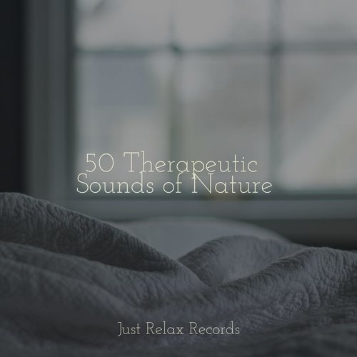 50 Therapeutic Sounds of Nature