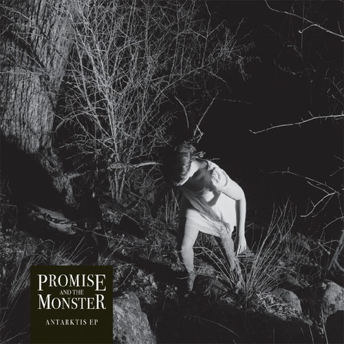 The Delusioned and Insane cover art