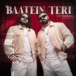 Baatein Teri