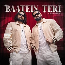 Baatein Teri
