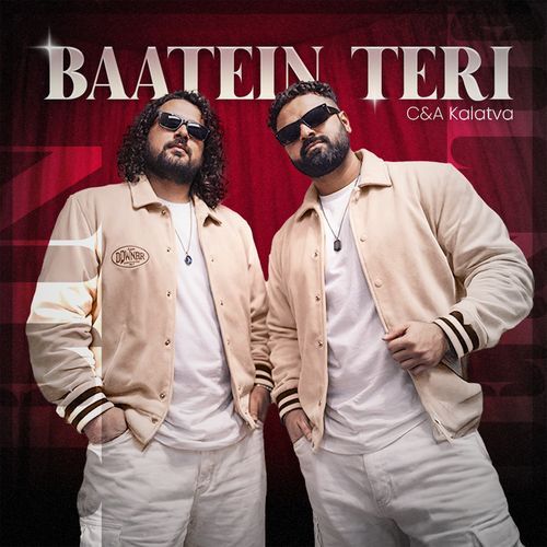 Baatein Teri