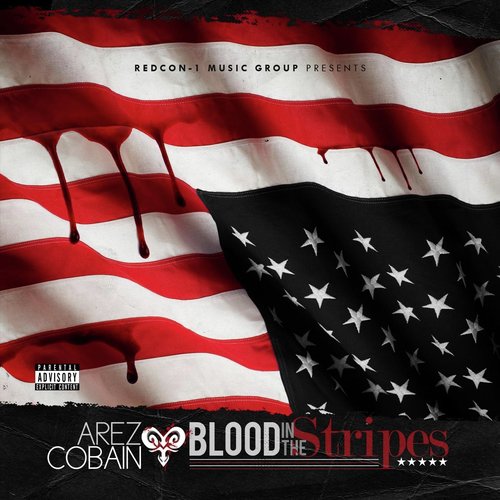 Blood in the Stripes