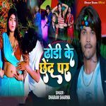 Dhodi Ke Chhed Par