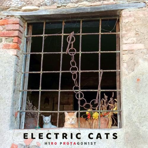 Electric Cats