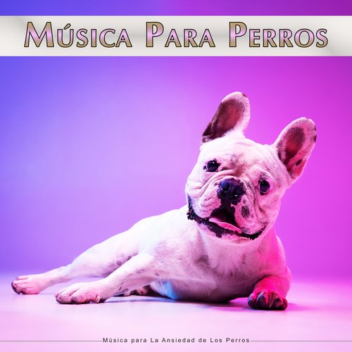 Música Para Perros cover art