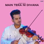 Main Tera Ni Diwana