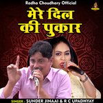 Mere dil ki pukar (Hindi)