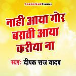 Nahi Aaya Gor Barati Aaya Kariya Naa