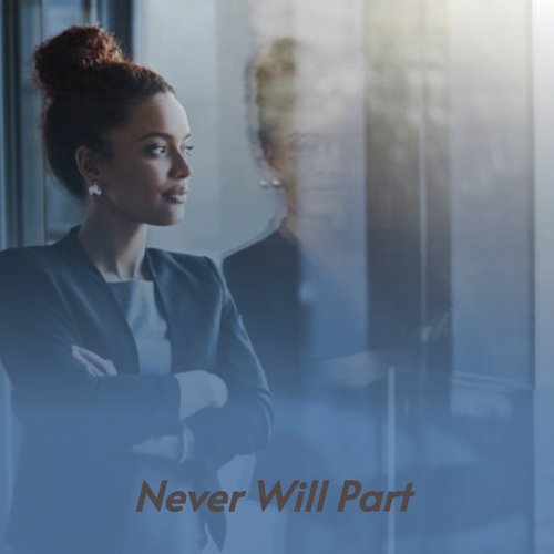 Never Will Part_poster_image