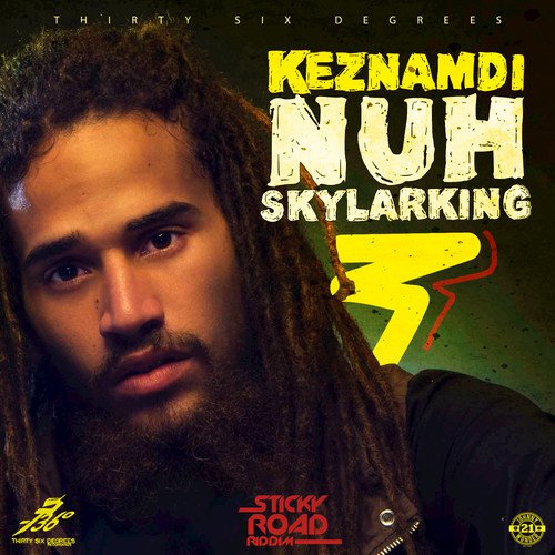 Nuh Skylarking_poster_image