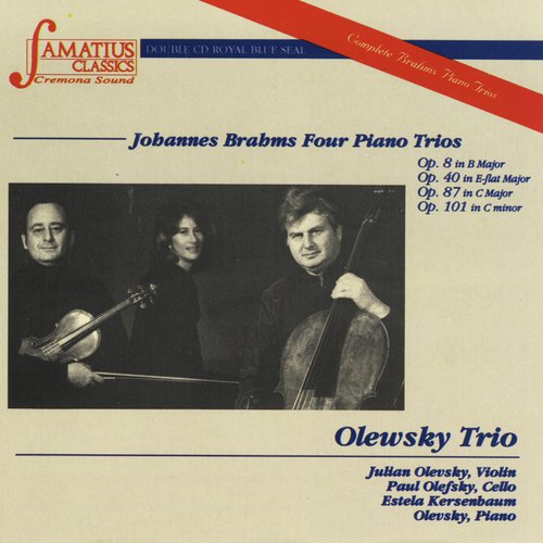 Trio in B Major, Op. 8: IV. Allegro cover art