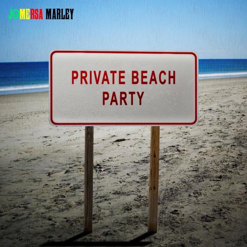 Private Beach Party_poster_image