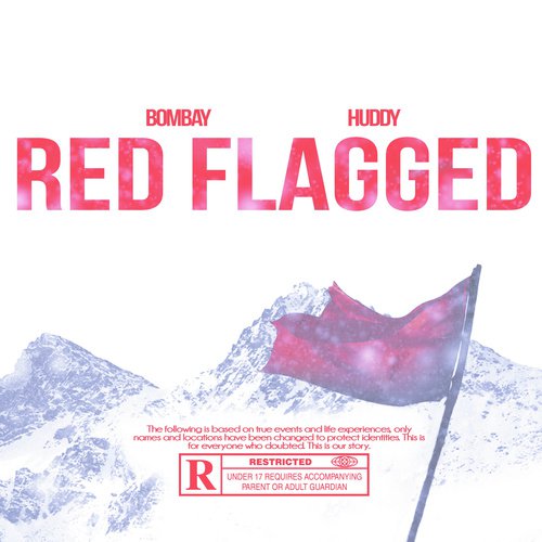 RED FLAGGED_poster_image