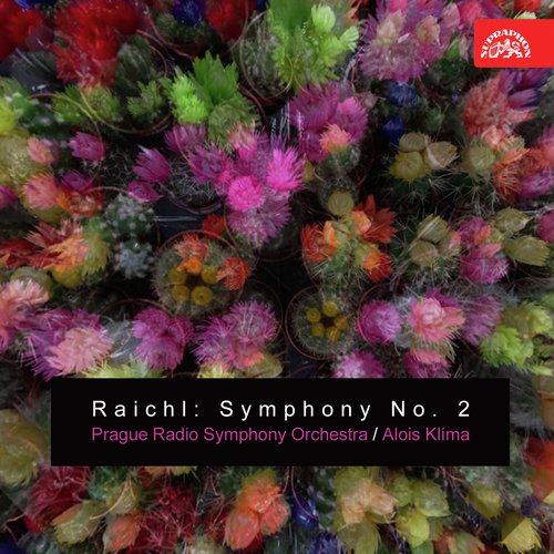 Raichl: Symphony No. 2_poster_image