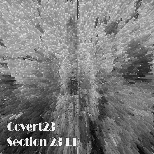 Walsden Im Sorry For The Noise (Original Mix) cover art