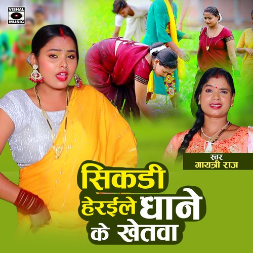 Sikadi Heraile Dhane Ke Khetava