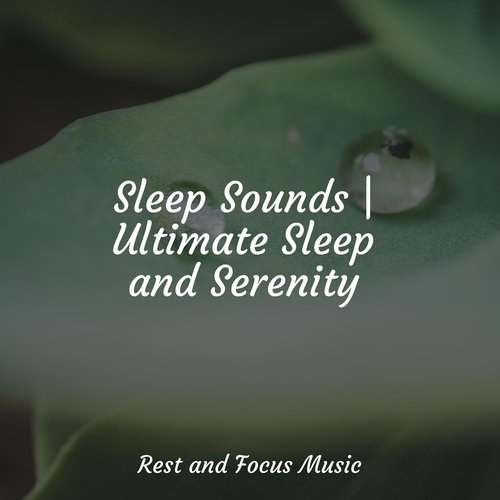Sleep Sounds | Ultimate Sleep and Serenity