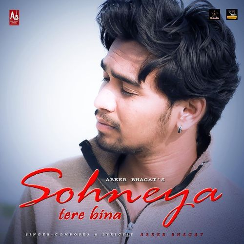 Sohneya Tere Bina