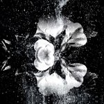 Svatovat (Cântec de petrecere al mirilor) (Alex Halka Remix)