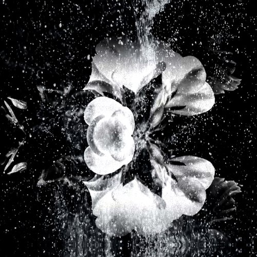 Svatovat (Cântec de petrecere al mirilor) (Alex Halka Remix)