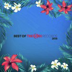 The Sin Records 2K18: Best Of