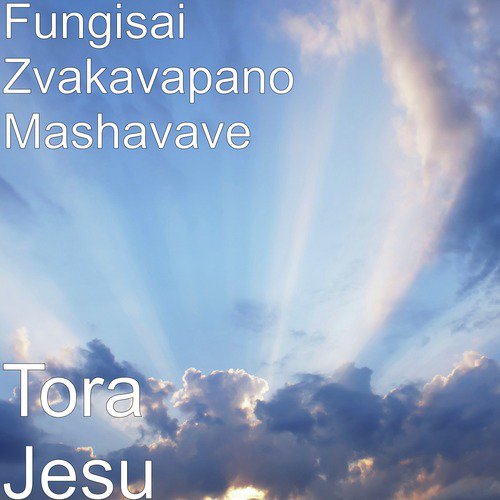 Fungisai Zvakavapano Mashavave