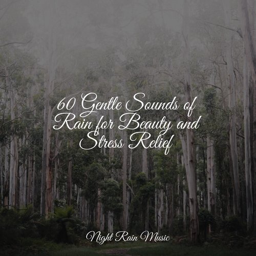 60 Gentle Sounds of Rain for Beauty and Stress Relief_poster_image