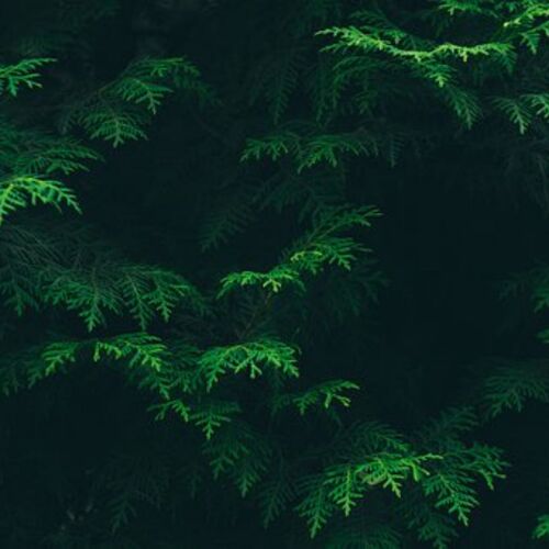 今夕何时 (治愈疗愈) cover art