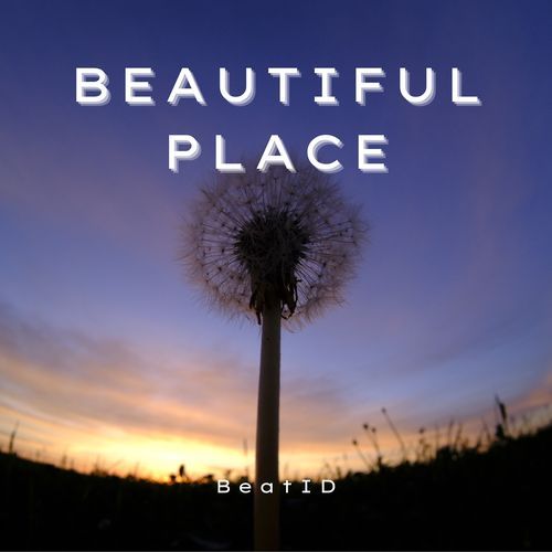 Beautiful Place_poster_image