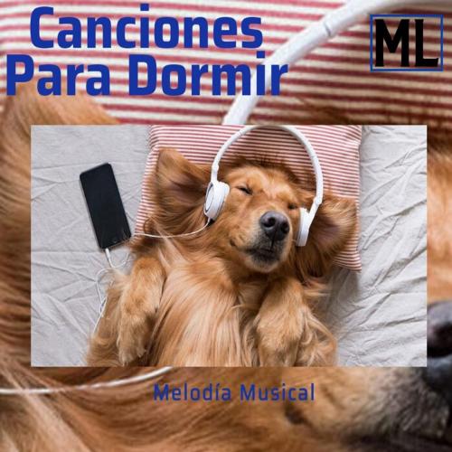 Calmar la Ansiedad cover art