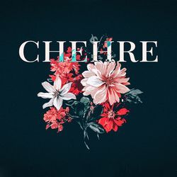 Chehre