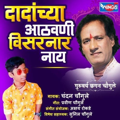 Dadanchya Aathwani Visarnr Nay