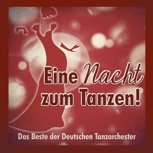 Eine Nacht zum Tanzen (Das Beste der Deutschen Tanzorchester)