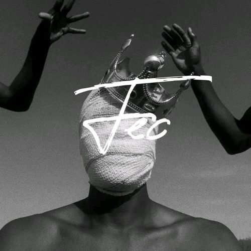 Fec cover art