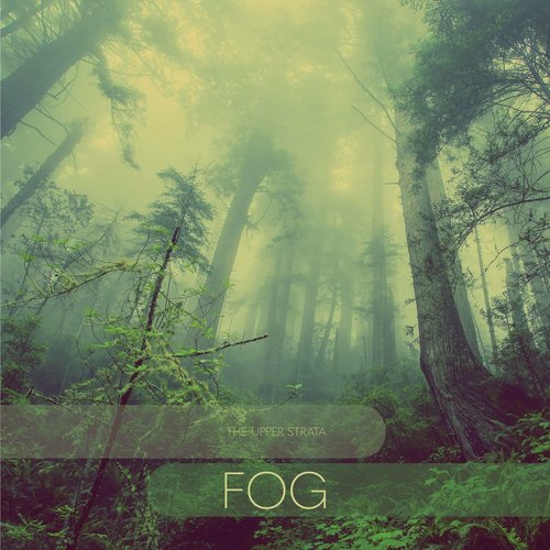 Into the Green cover art