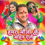 Hamra Baujee Ke Bahin Alai