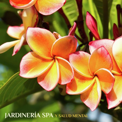 Musica Relajante cover art