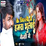 Ke Millau Je Hamra Bhaulai Deni Ge