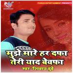 Mujhe Mare Har Dafa Teri Yad Bewafa
