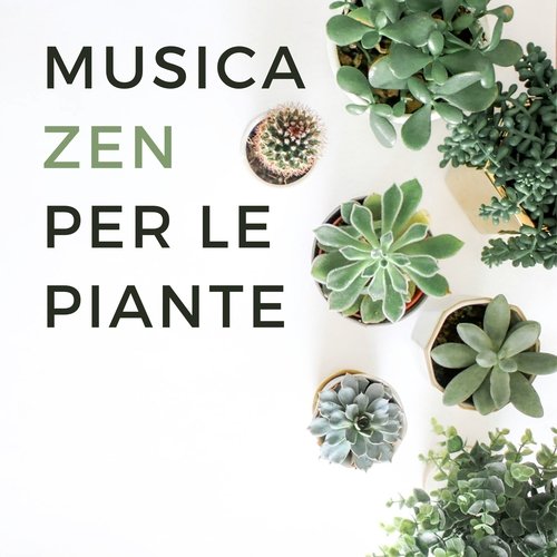 Meditazione tibetana