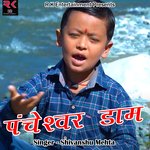 Pancheshwar Dam (Pahadi)