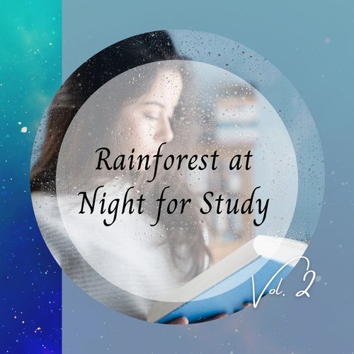 Rainforest at Night for Study Vol. 2_poster_image