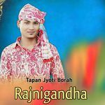 Rajnigandha