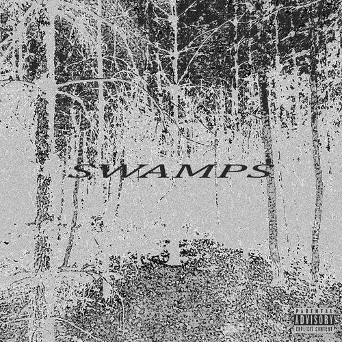 SWAMPS cover art