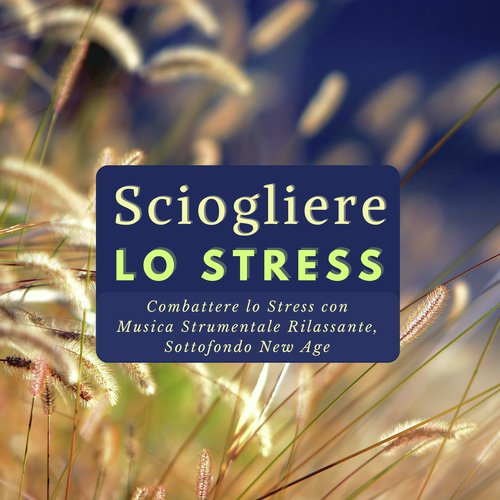 Meditazione Trascendentale cover art