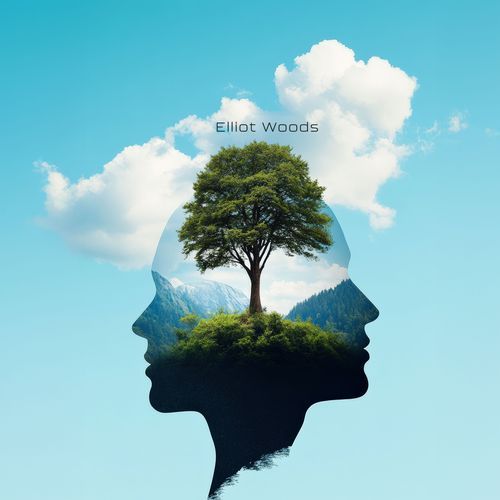 Calm Within Chaos cover art